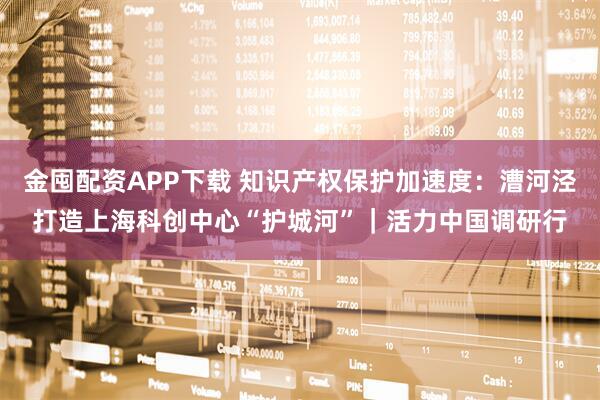 金囤配资APP下载 知识产权保护加速度：漕河泾打造上海科创中心“护城河”｜活力中国调研行